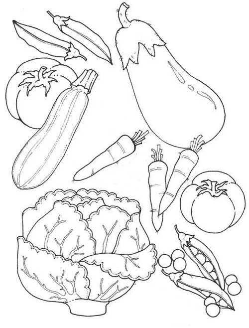 contoh gambar sketsa  Sketsa  Gambar  Mewarnai Sayuran gambar  mewarnai